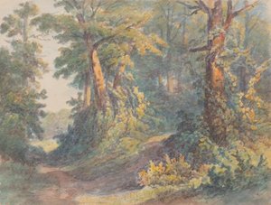 Paesaggio forestale da Friedrich Carl von Scheidlin